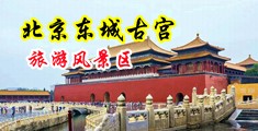 欧美鸡巴肏逼乱伦视频中国北京-东城古宫旅游风景区